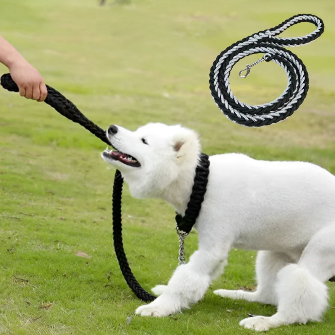 laisse_pour_chien_couleur_gris-noir_ TRESSÉ 