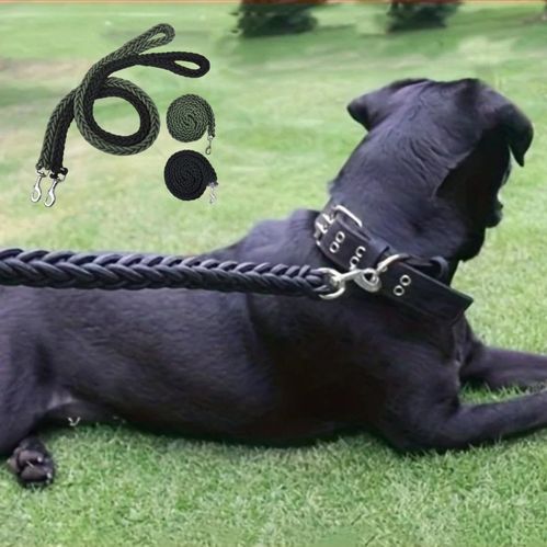 Laisse pour chien noir  tressé