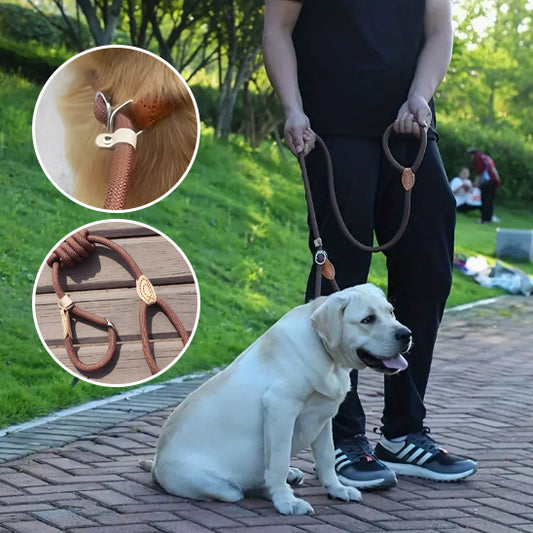 Collier pour chien  sans stress www.jappytoutou.com