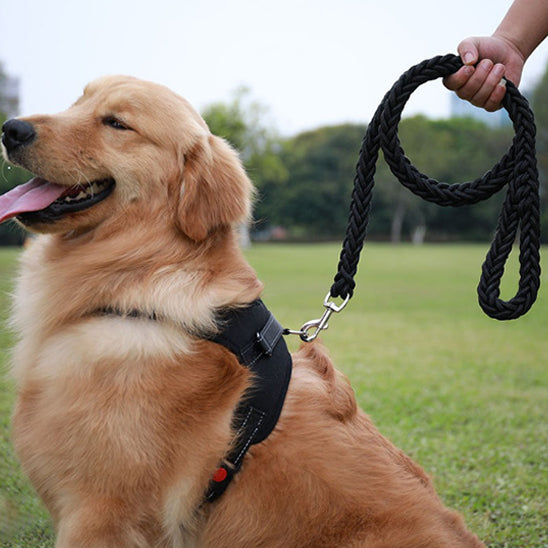 laisse pour chien noir fait de nylon tressé www.jappytoutou.com