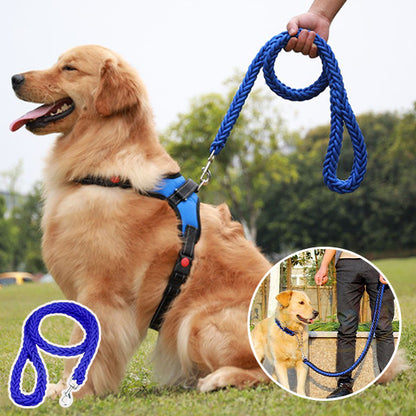 laisse pour chien noir fait de nylon tressé attaché au harnais bleu www.jappytoutou.com