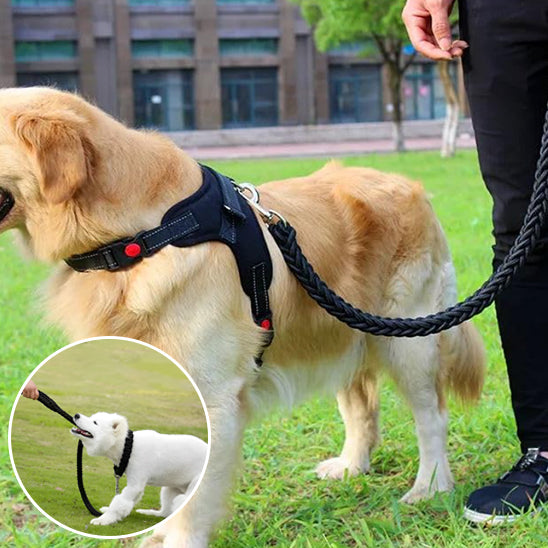 laisse pour chien noir  tressé