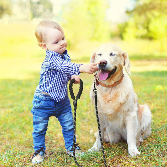 LaisseEduc™ - Corde en Nylon pour chien | Chien - www.JappyToutou.com