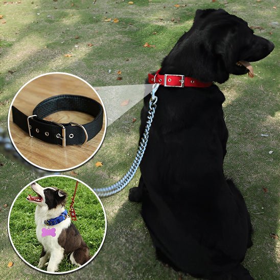 Le Collier pour Chien Secur™ : Confort, Sécurité pour Votre Fidèle Compagnon www.JappyToutou.com