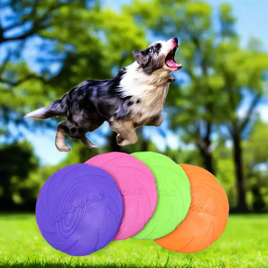 🐕 Découvrez le Lanceur Futé™, jouet pour chien 2-en-1 qui stimule et renforce votre complicité. En caoutchouc naturel résistant, 
