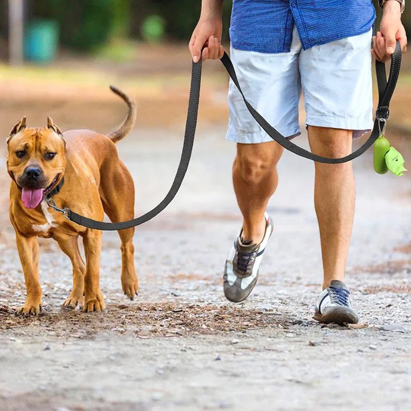 Longe pour chien : confort, sécurité et style pour des promenades idéales. - www.JappyToutou.com