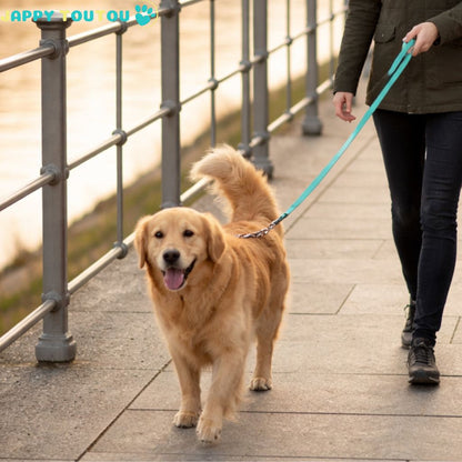 Longe pour Chien | JappyLongeLibre™ - Jappy Toutou