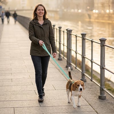 Longe pour Chien | JappyLongeLibre™ - Jappy Toutou
