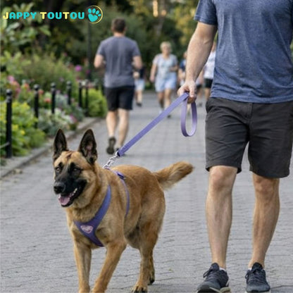 Longe pour Chien | JappyLongeLibre2™ - Jappy Toutou