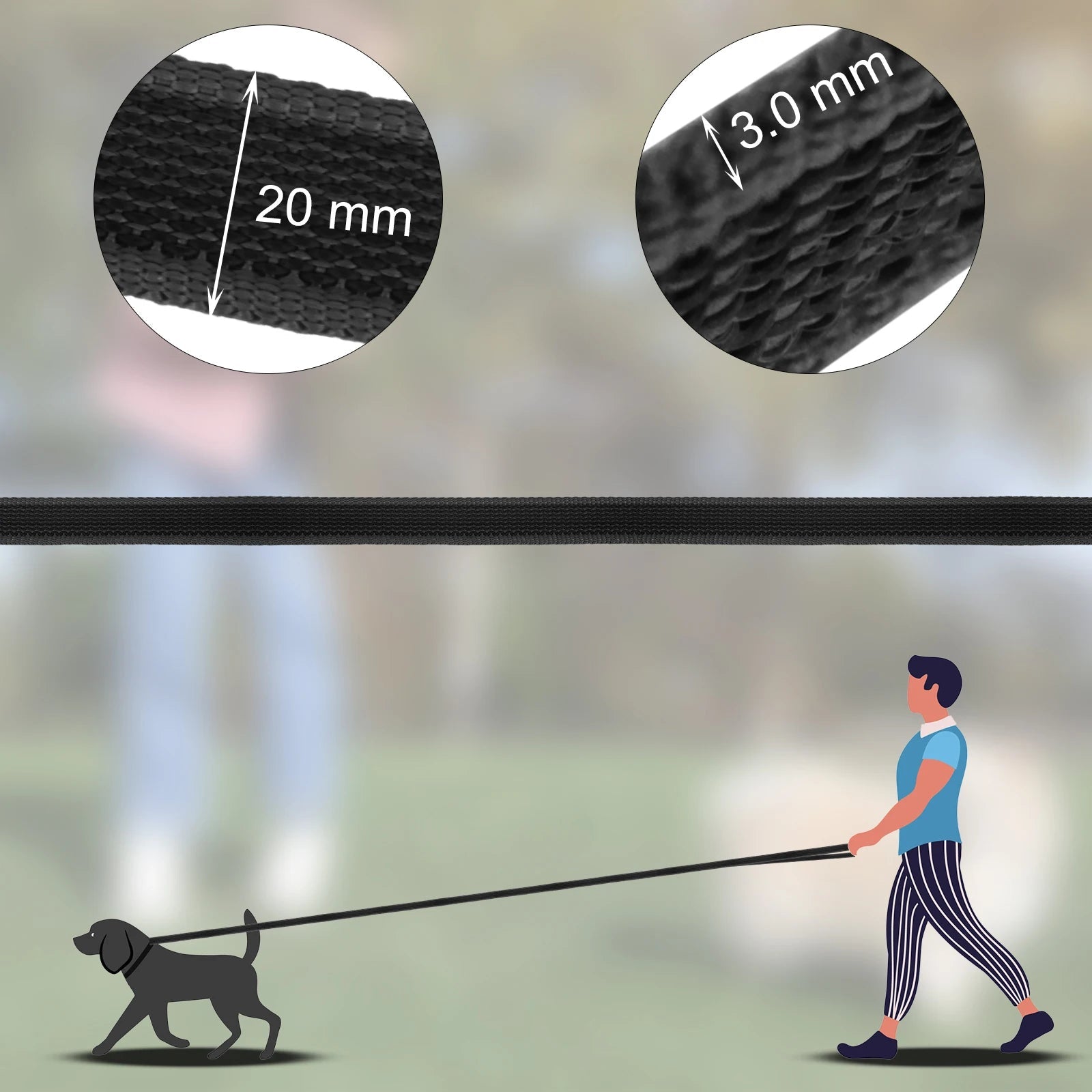 Longe pour chien : L'Idéal pour Éduquer votre Compagnon en Liberté, en Confiance - www.JappyToutou.com