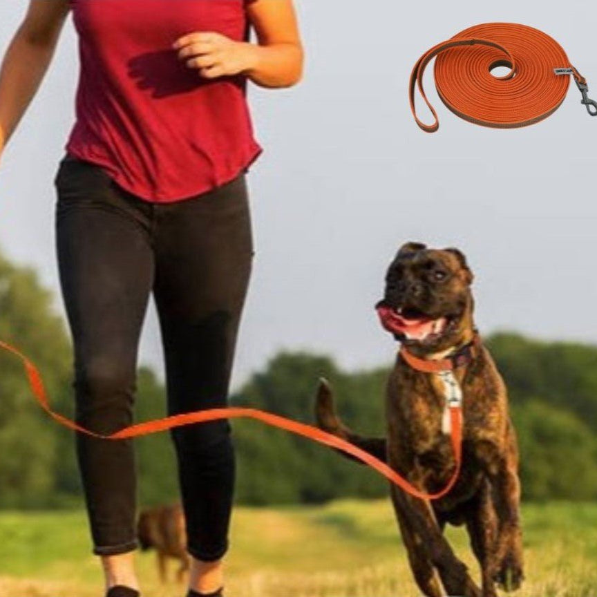 Longe pour chien : L'Idéal pour Éduquer votre Compagnon en Liberté, en Confiance - www.JappyToutou.com