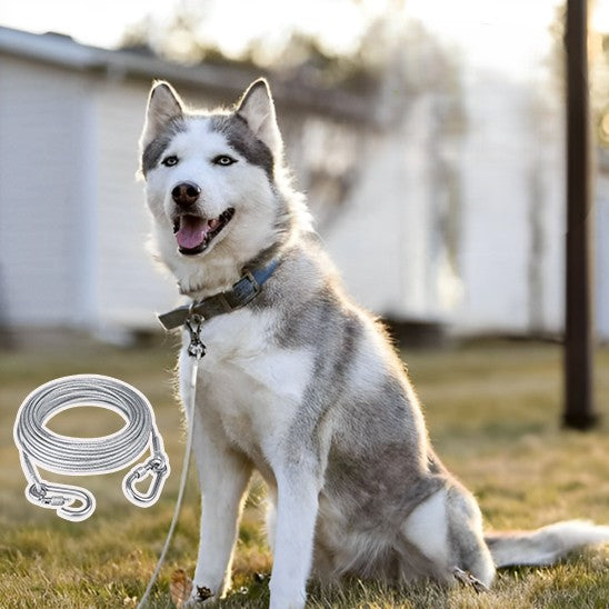  longe pour chien s’adapte à toutes les situations.  prêt pour jouer en confiance