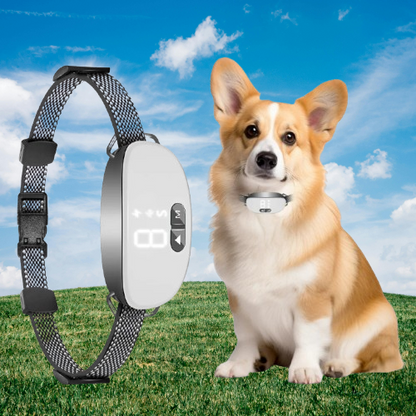 Collier Anti Aboiement Chien - Sans Choc : La Solution Efficace humaine