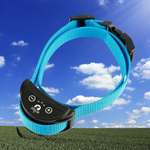 Collier anti aboiement petit chien : La solution efficace