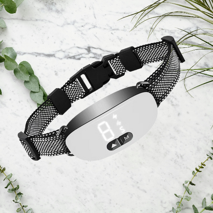 Collier Anti Aboiement Chien - Sans Choc : La Solution Efficace humaine