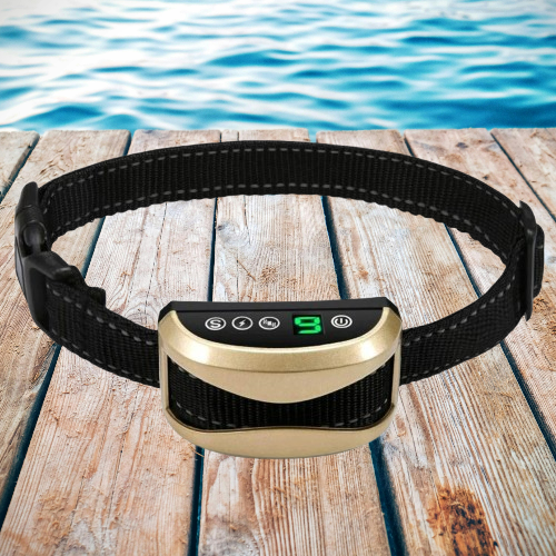 Collier anti aboiement pour Chien : La Solution Intelligente