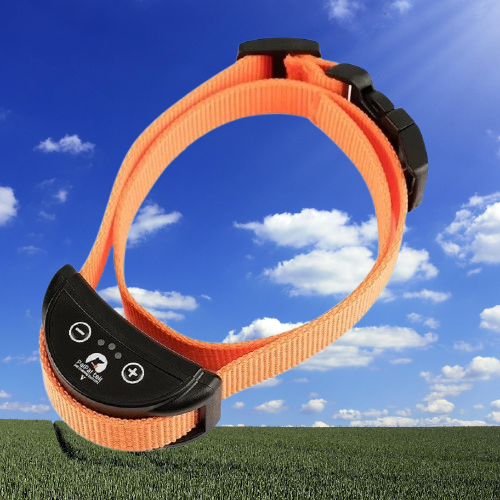 Collier anti aboiement petit chien : La solution efficace