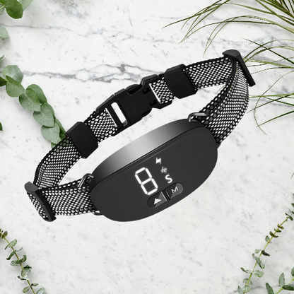Collier Anti Aboiement Chien - Sans Choc : La Solution Efficace humaine