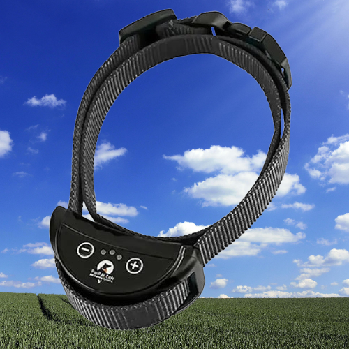 Collier anti aboiement petit chien : La solution efficace