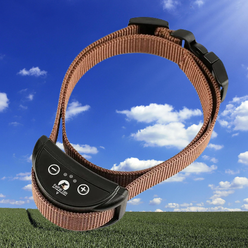 Collier anti aboiement petit chien : La solution efficace
