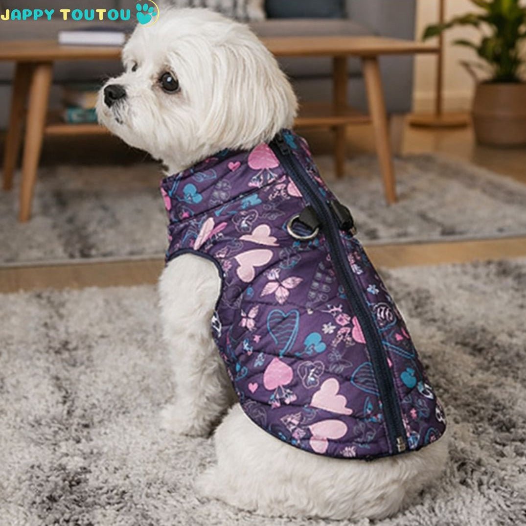 Manteau Chien | CozyPelage™ - Jappy Toutou