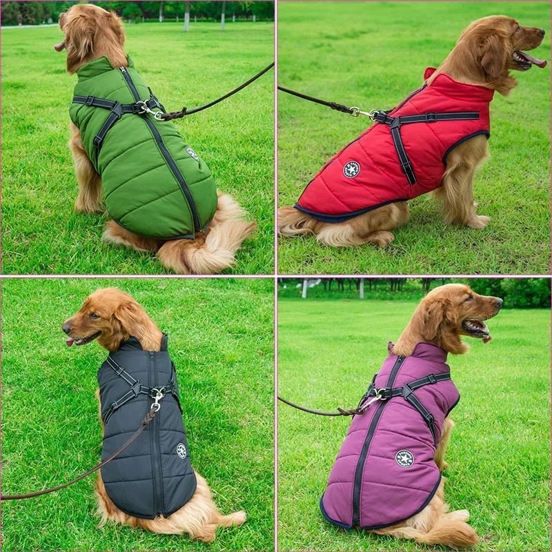 Manteau Chien: Design, confort, sécurité; Harnais intégré pour son Bien - être - www.JappyToutou.com