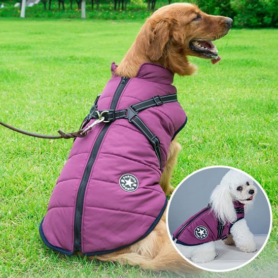 Manteau Chien: Design, confort, sécurité; Harnais intégré pour son Bien - être - www.JappyToutou.com