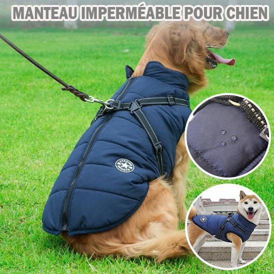 Manteau Chien: Design, confort, sécurité; Harnais intégré pour son Bien - être - www.JappyToutou.com