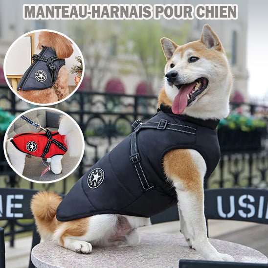 Manteau Chien: Design, confort, sécurité; Harnais intégré pour son Bien - être - JappyToutou.com