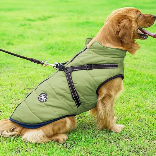 Manteau chien : Harnais Confort de couleur pour grand compagnon - www.JappyToutou.com