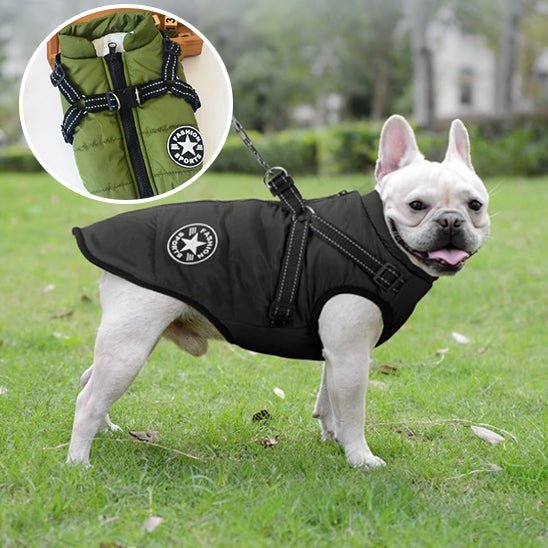 Manteau chien : Harnais Confort de couleur pour grand compagnon -www.JappyToutou.com