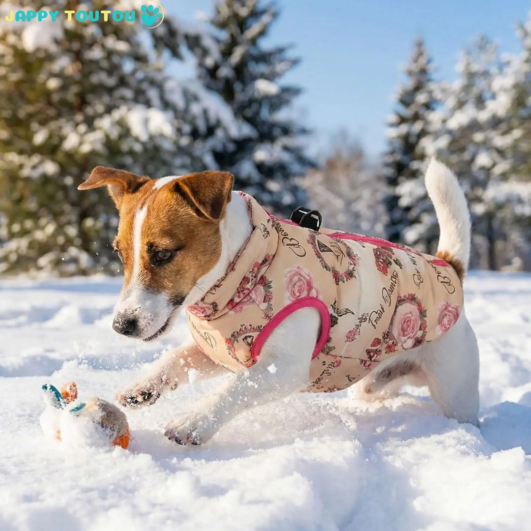 Manteau Chien | ImperHiverConfort™ : Variété de motifs