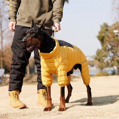 Manteau chien • JappyPolar™ Protection - Jappy Toutou
