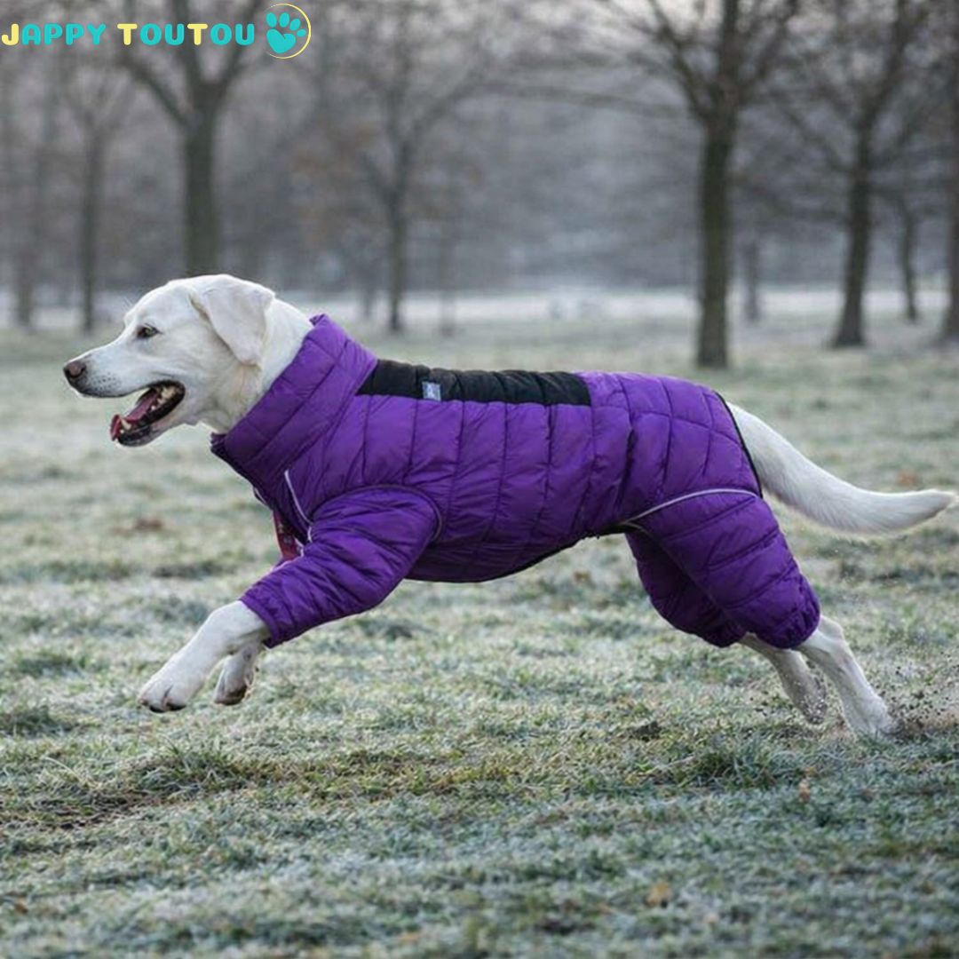 Manteau Chien • JappyPolar2™ adopte une coupe ergonomique
