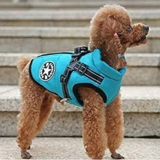 Manteau chien: Style de harnais en couleurs, solution tout - en - un - www.JappyToutou.com