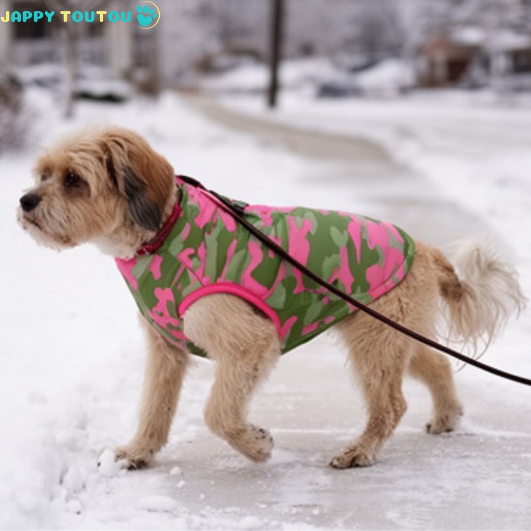 Manteau Chien | ThermoConfort™ - Jappy Toutou