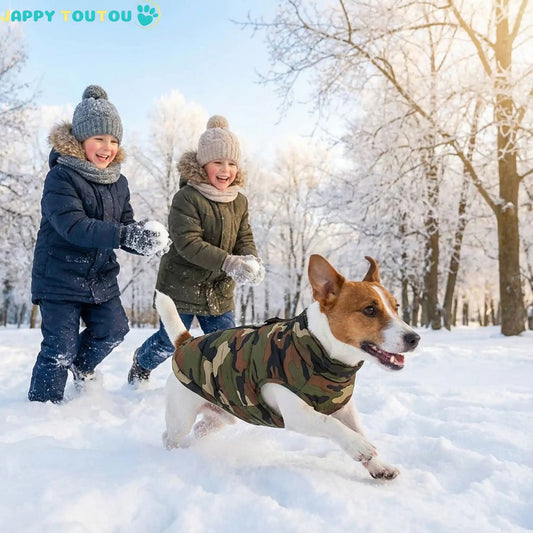 Manteau Chien | ThermoConfort™ - Jappy Toutou