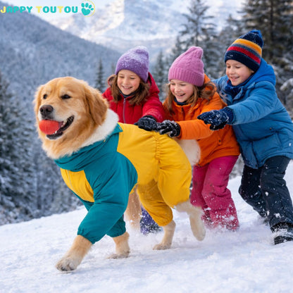 Manteau pour chien | All - Weather Protect™ - Jappy Toutou