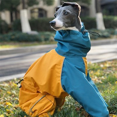 Manteau pour chien | All - Weather Protect™ - Jappy Toutou