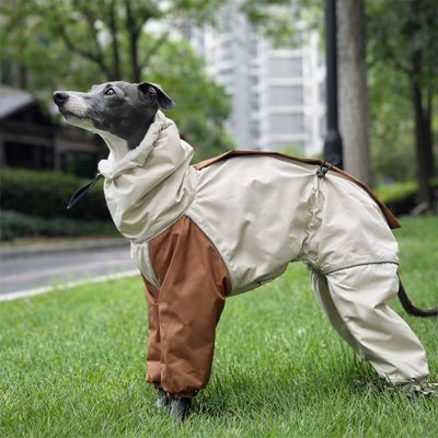 Manteau pour chien | All - Weather Protect2™ - Jappy Toutou