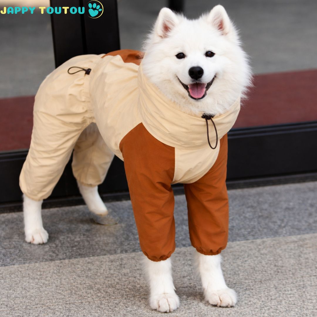 Manteau pour chien | All - Weather Protect2™ - Jappy Toutou