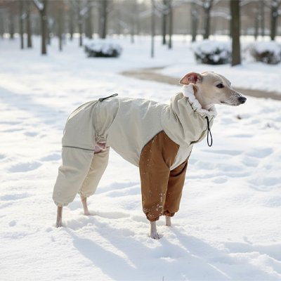 Manteau pour chien | All - Weather Protect2™ - Jappy Toutou