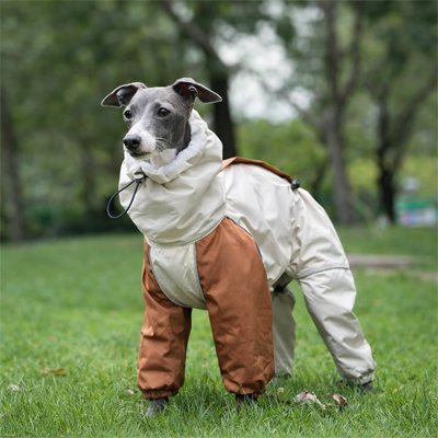 Manteau pour chien | All - Weather Protect2™ - Jappy Toutou