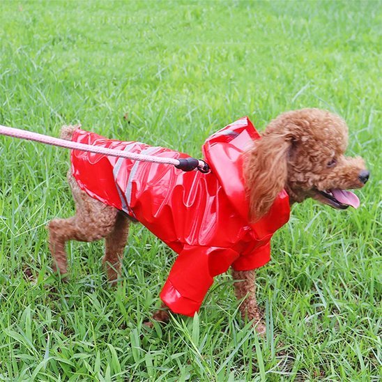 Manteau pour Chien | Imperméable RainChic™ - Jappy Toutou
