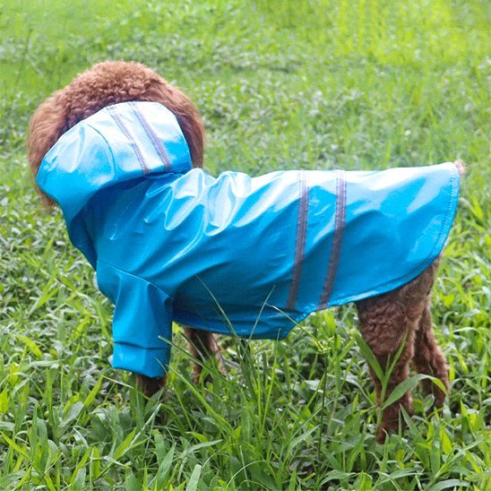 Manteau pour Chien | Imperméable RainChic™ - Jappy Toutou