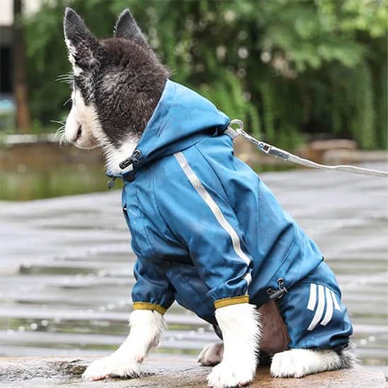 Manteau pour Chien | Jappy Chic’nPuie™ : Bandes réfléchissantes