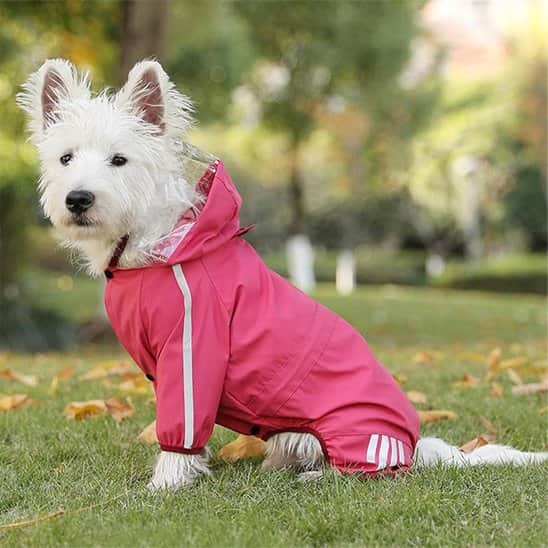 Manteau pour Chien | Jappy Chic’nPuie™ : Coloris variés