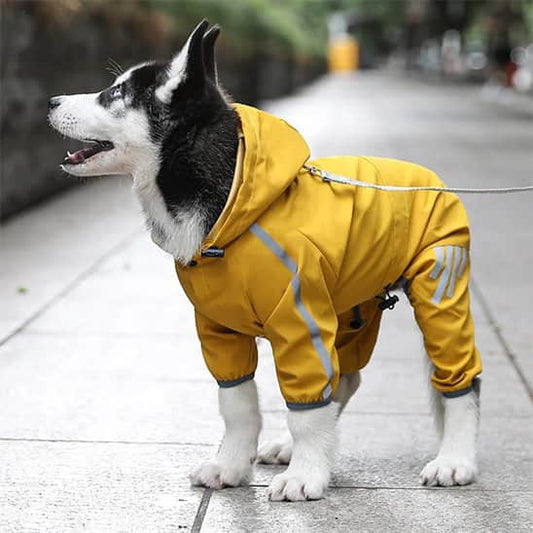 Manteau pour Chien | Jappy Chic’nPuie™ : Couverture intégrale
