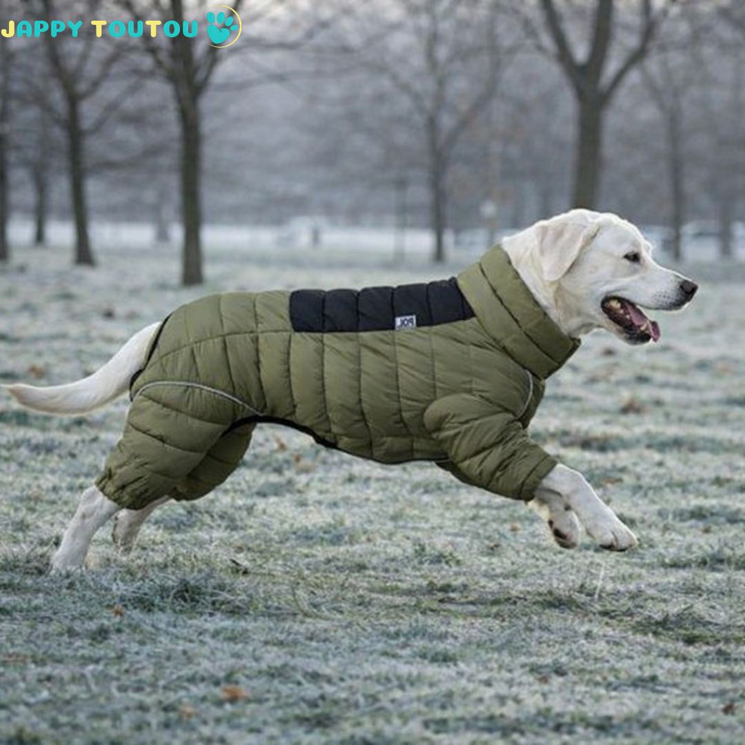 Manteau pour chien • Jappy3Polar™ confort en mouvement