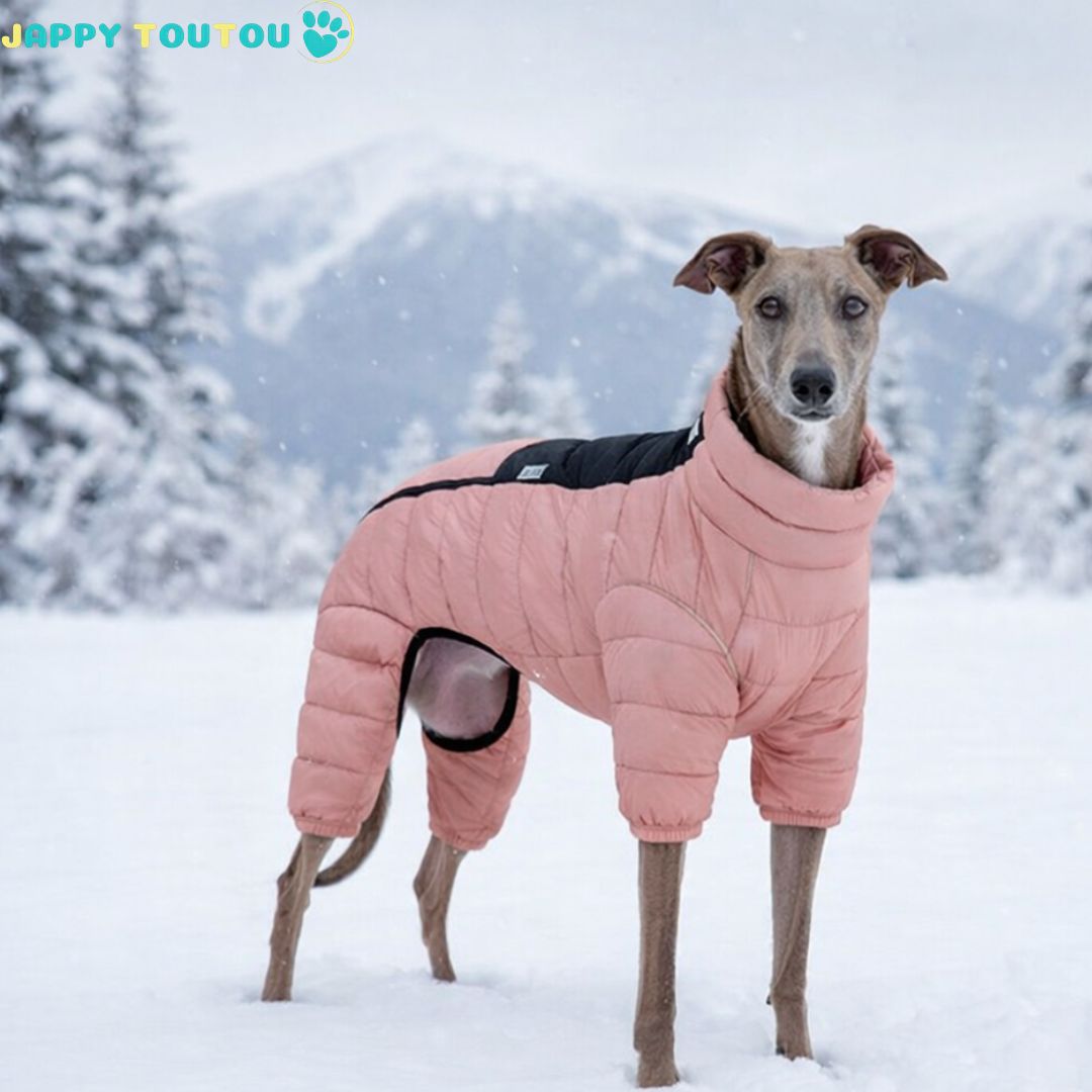 Manteau pour chien • Jappy3Polar™ pour toute race